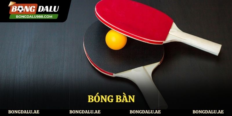 Bóng bàn nơi thăng hoa cùng cảm xúc