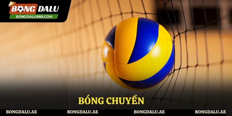 Bóng chuyền, nơi thăng hoa cùng cảm xúc