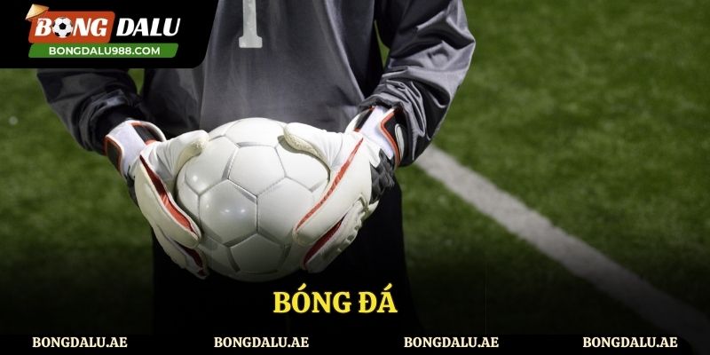Bóng đá - bộ môn thể thao vua hiện nay