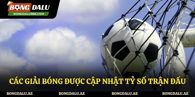 Các giải đấu được cập nhật tỷ số bóng đá tại Bongdalu