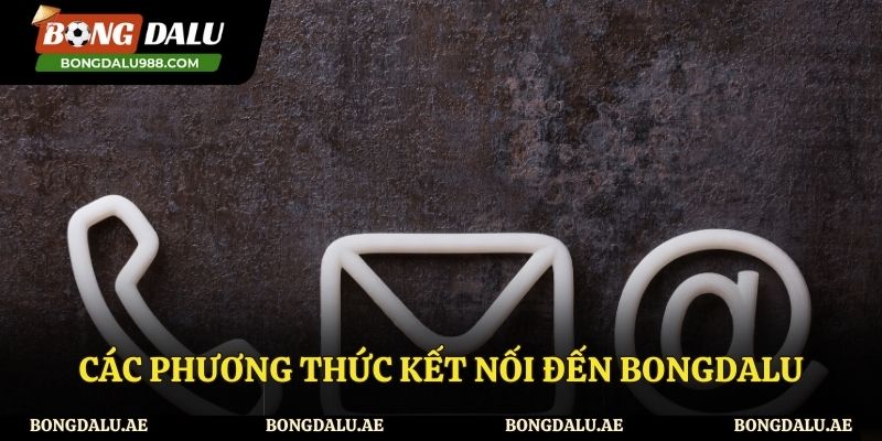 Những phương thức liên hệ Bongdalu phổ biến nhất