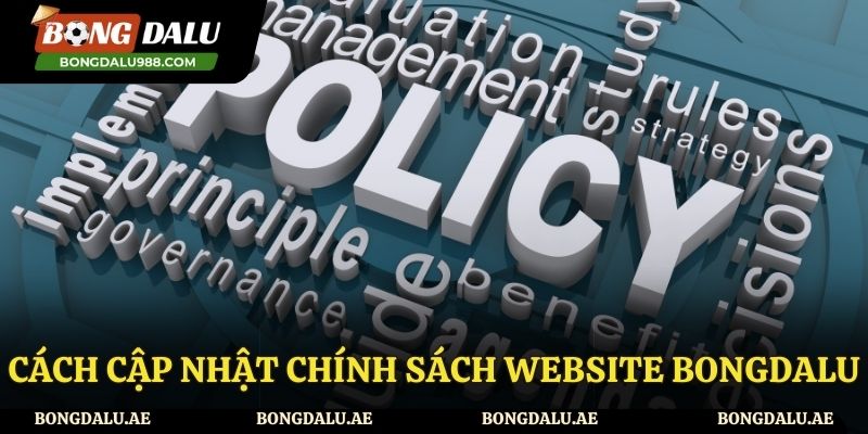 Cách để nhận thông báo mới nhất về chính sách của website