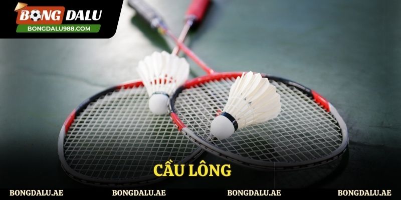 Cầu lông mang đến những trận đấu bất ngờ