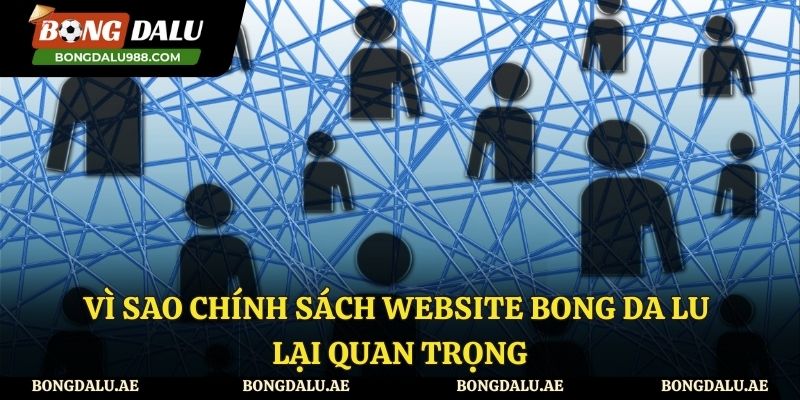 Tầm quan trọng của chính sách website Bongdalu