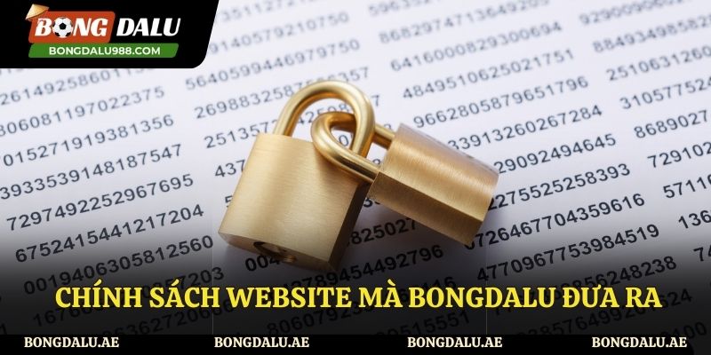 Tổng hợp những chính sách website tại Bongdalu đầy đủ nhất