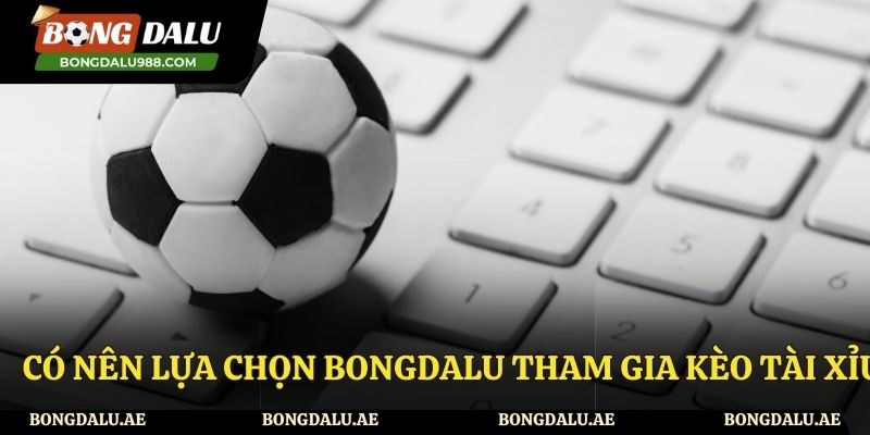 Lý do nên đồng hành cùng Bongdalu trong các kèo tài xỉu