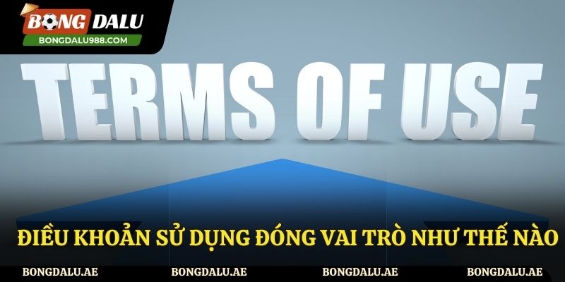Vai trò của điều khoản điều kiện tại trang web Bong da lu