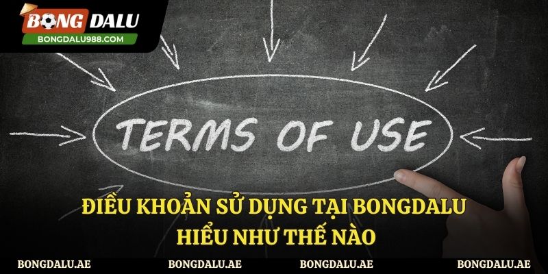 Tìm hiểu thông tin về điều khoản sử dụng tại website Bongdalu