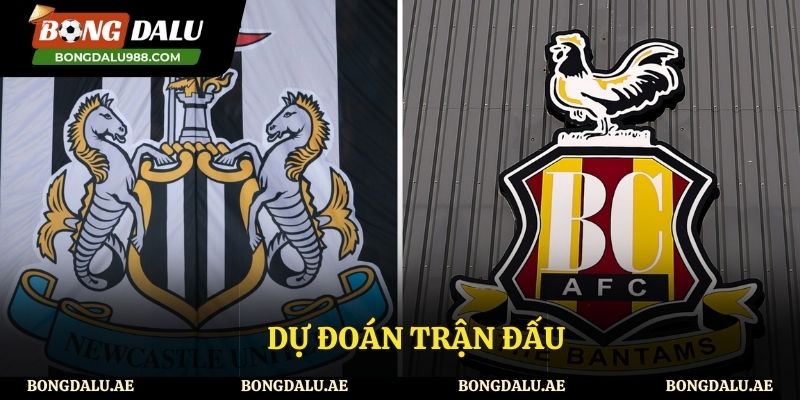 Dự đoán tỷ số giữa hai đội bóng Newcastle vs Bradford City