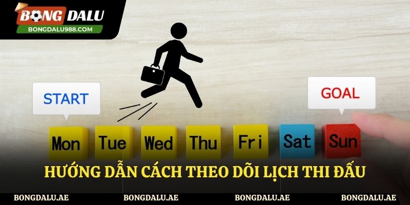 Hướng dẫn cách xem lịch thi đấu nhanh chóng