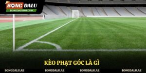 Kèo Phạt Góc Là Gì? Mẹo Hay Để Thắng Lớn Trong Mỗi Kèo Cược