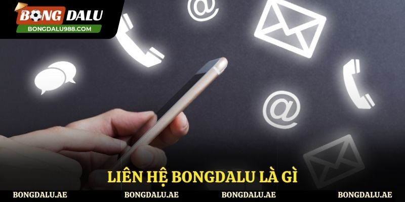 Tìm hiểu về liên hệ Bongdalu là gì?