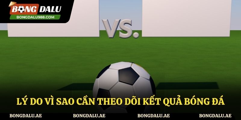 Lý do bạn nên theo dõi kết quả bóng đá thường xuyên