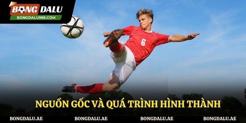 Theo dõi quá trình hình thành website Bong Da Lu