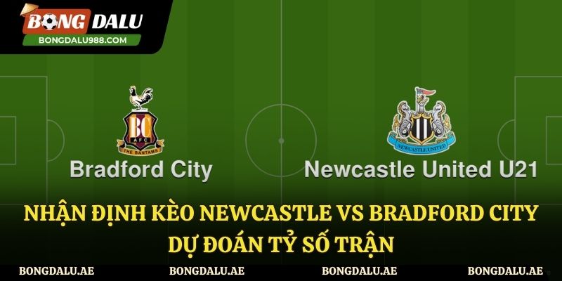 Nhận định trận đấu giữa Newcastle vs Bradford