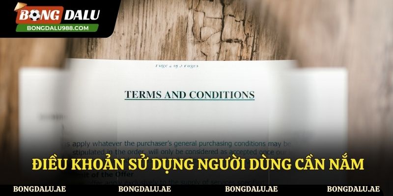 Tổng hợp điều khoản sử dụng cần nắm tại website Bongdalu