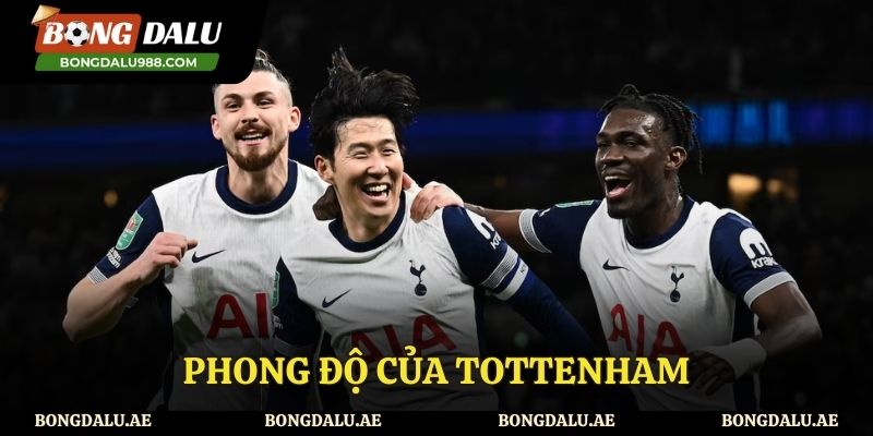 Phong độ thi đấu của đội bóng Tottenhem