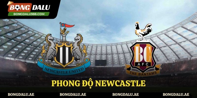 Phong độ thi đấu gần đây của Newcastle