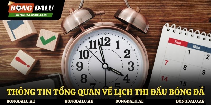 Đôi nét về lịch thi đấu