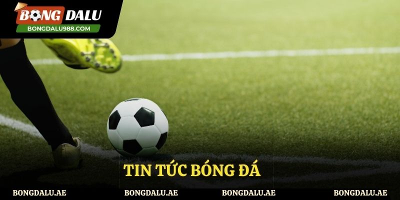 Tin tức thể thao được cập nhật liên tục mỗi ngày