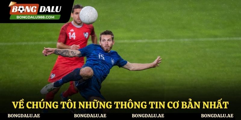 Thông tin sơ lược về chúng tôi - Bongdalu