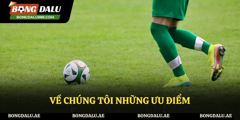 Các ưu điểm về chúng tôi được đánh giá bởi người dùng